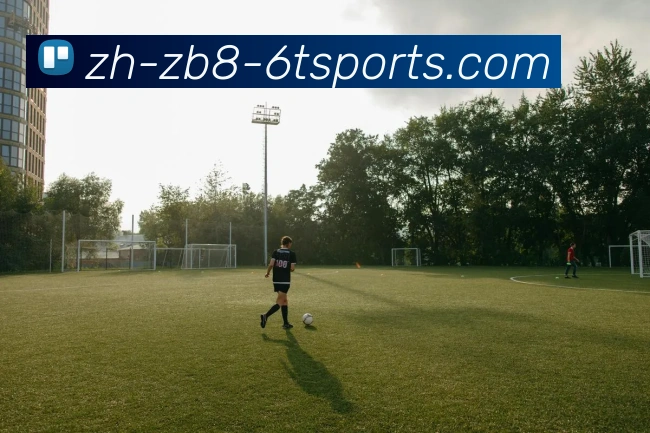 6T体育发展历程