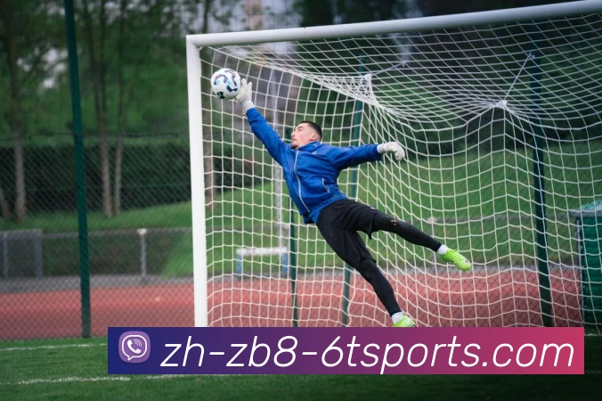 火箭队直播插件安装教程及观看指南